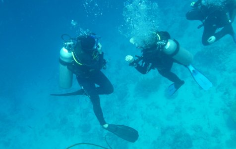 Diving Experience - Full day - Half day tours